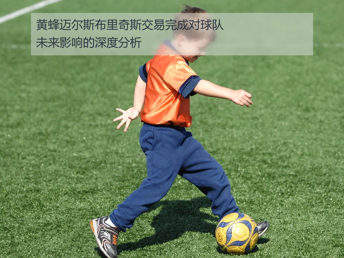黄蜂迈尔斯布里奇斯交易完成对球队未来影响的深度分析